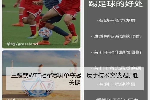 王楚钦WTT冠军赛男单夺冠，反手技术突破成制胜关键